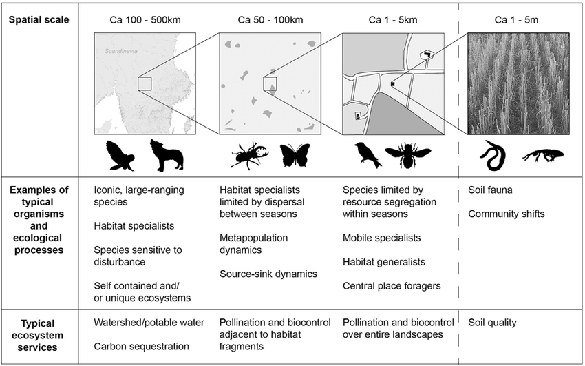 Biodiversity - QCE Biology Revision