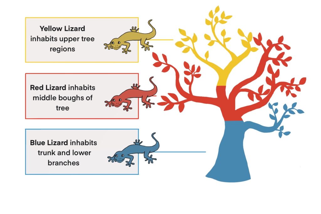 ecosystem-dynamics-page-2-of-3-qce-biology-revision