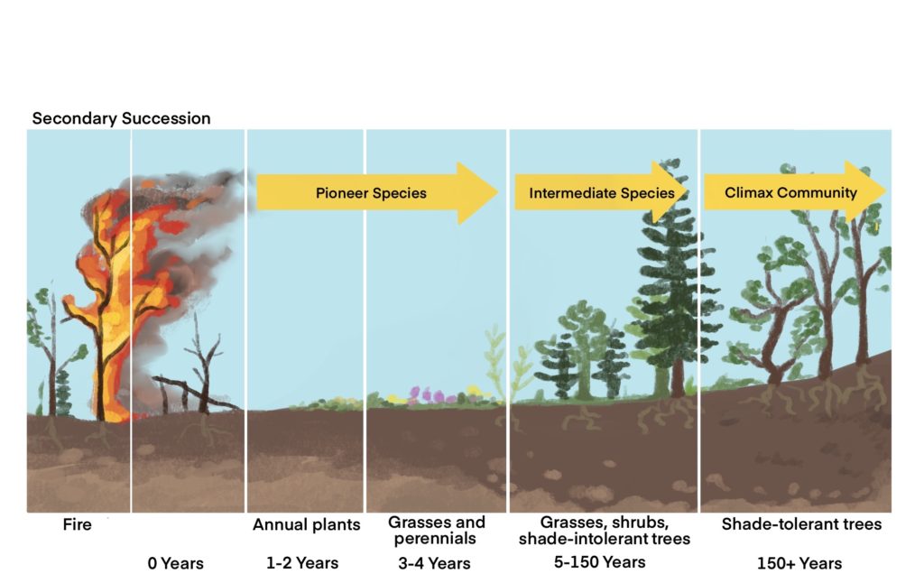 Changing Ecosystems Page 3 of 6 QCE Biology Revision